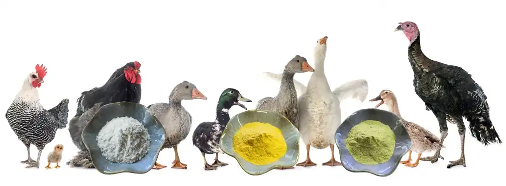 product-1-1 product-1-1