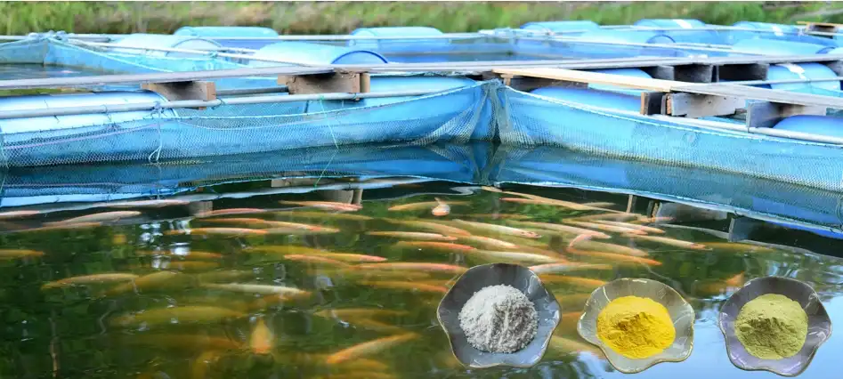 product-1-1 product-1-1