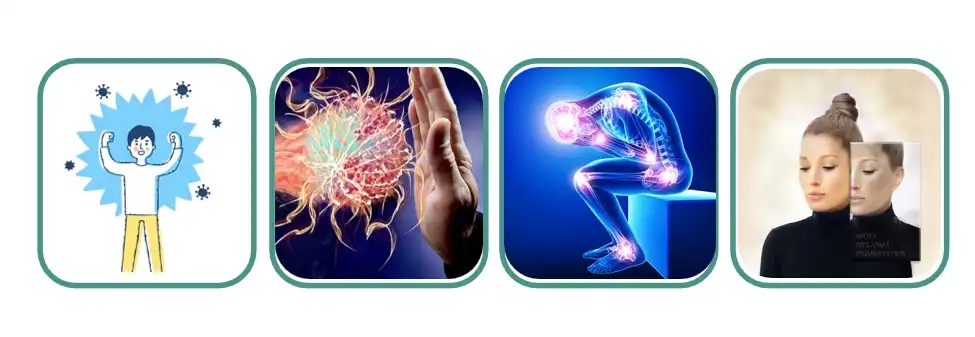 product-1-1 product-1-1