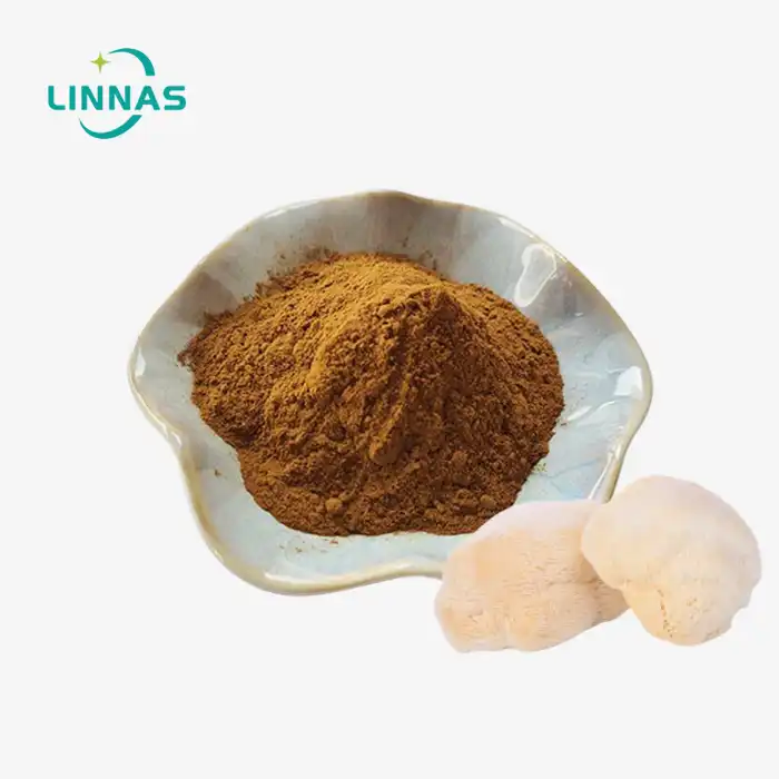 Lion's Mane Mushroom Extract